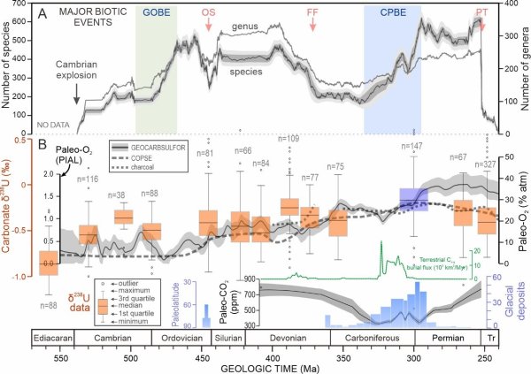 爱配配资 全球变暖竟让海洋缺氧，3亿年前气候状态警示危机