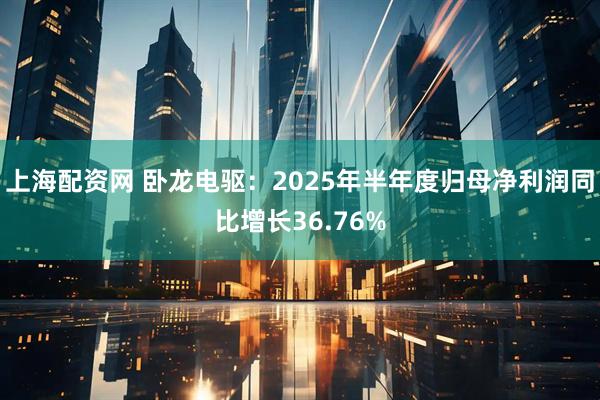 上海配资网 卧龙电驱：2025年半年度归母净利润同比增长36.76%