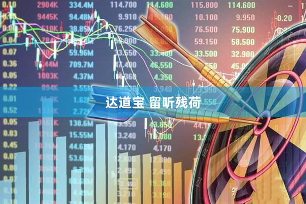 达道宝 留听残荷